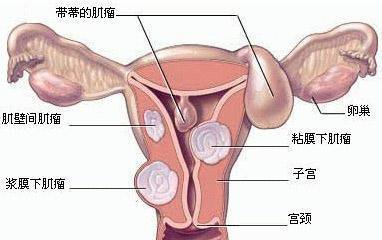 游戏专题 第112页