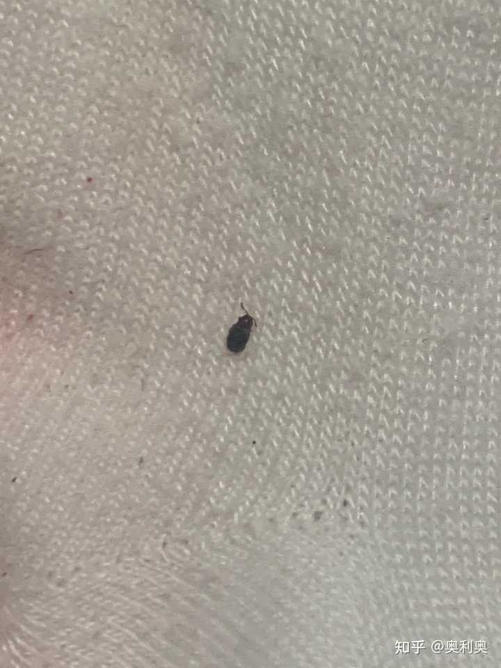 最新资讯 第108页