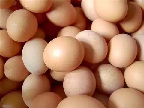 娱乐生活 第102页