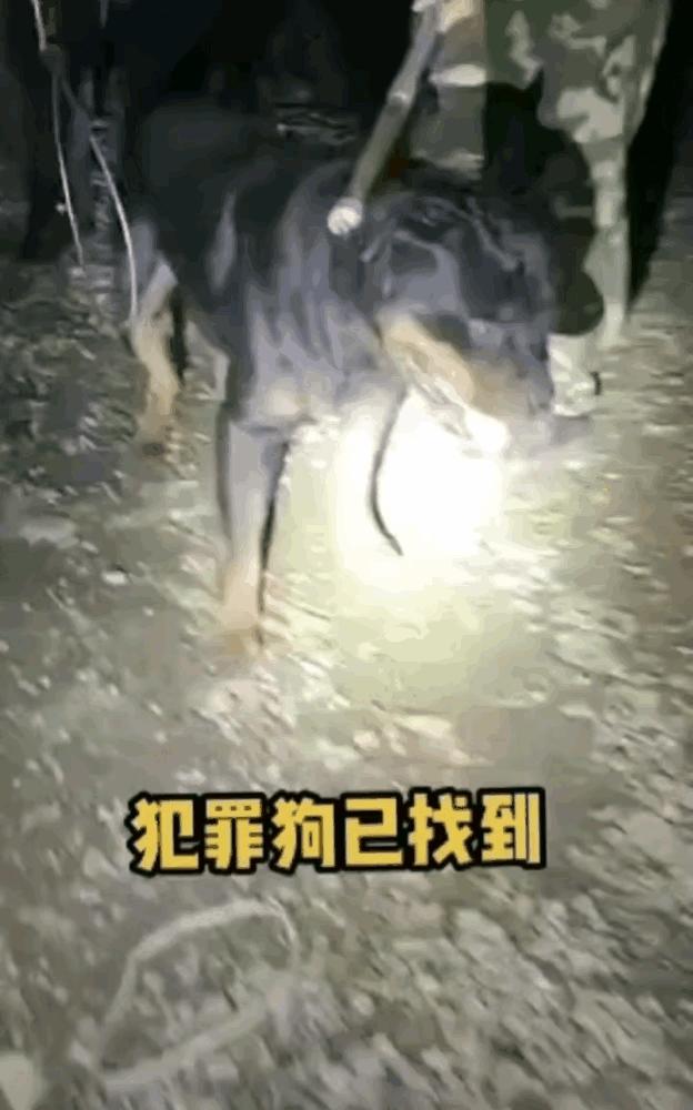 娱乐生活 第206页