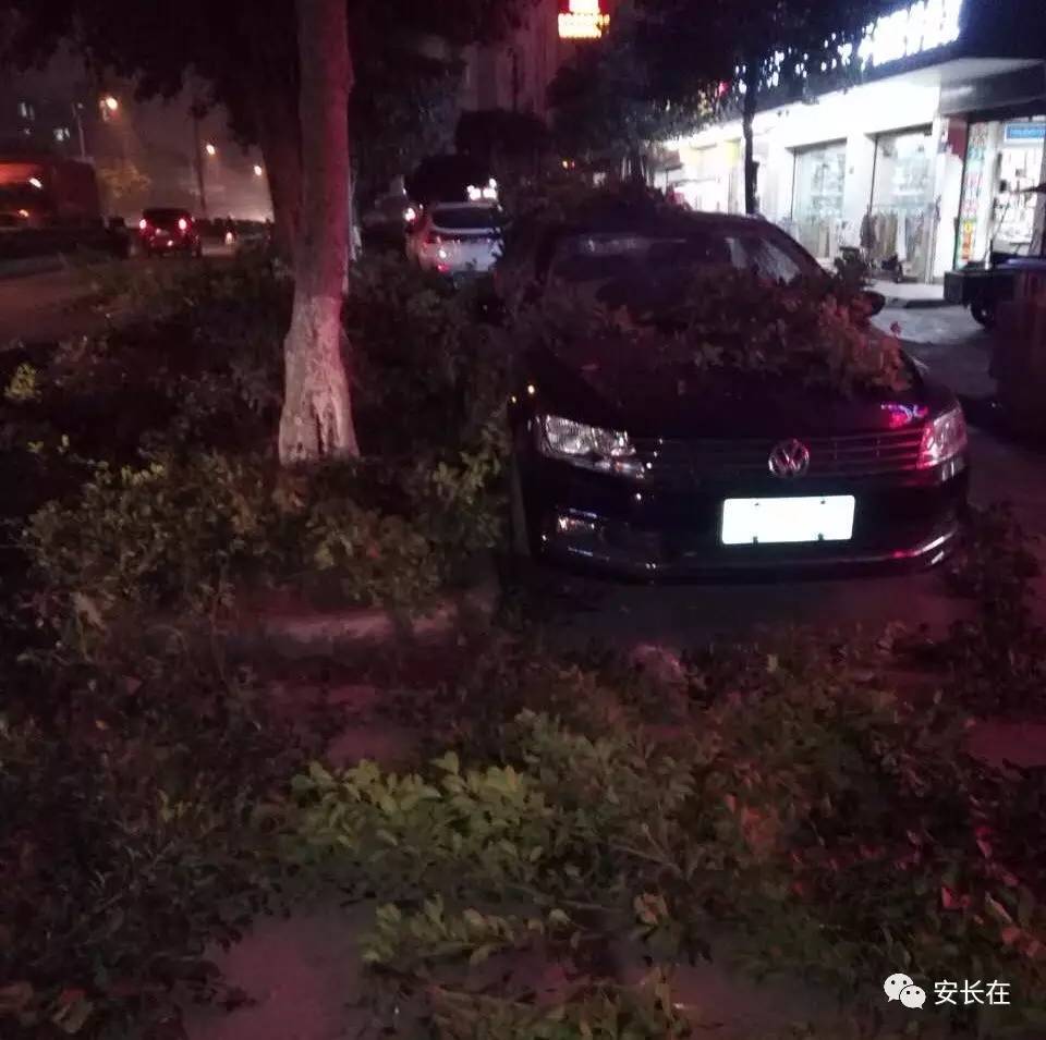 热点生活 第83页