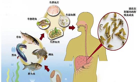 游戏专题 第54页