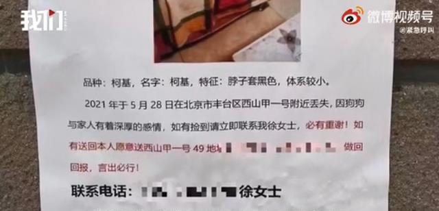 地方新闻 第43页
