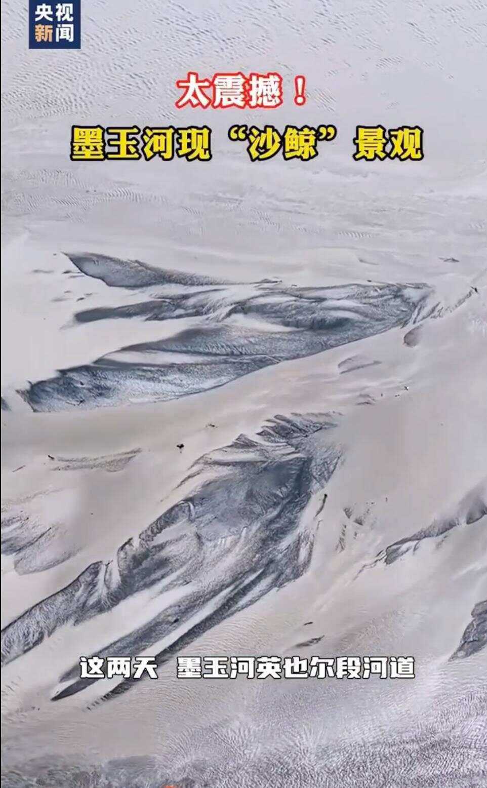 新疆一河水退去留520米巨鲸图案